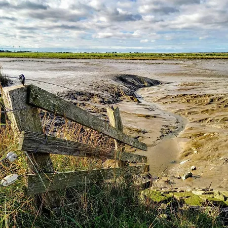 Lille Solskin Daire Tönning